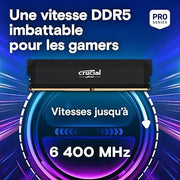 Kit mémoire RAM Crucial DDR5 32 Go 6000 MHz noir avec contacts dorés