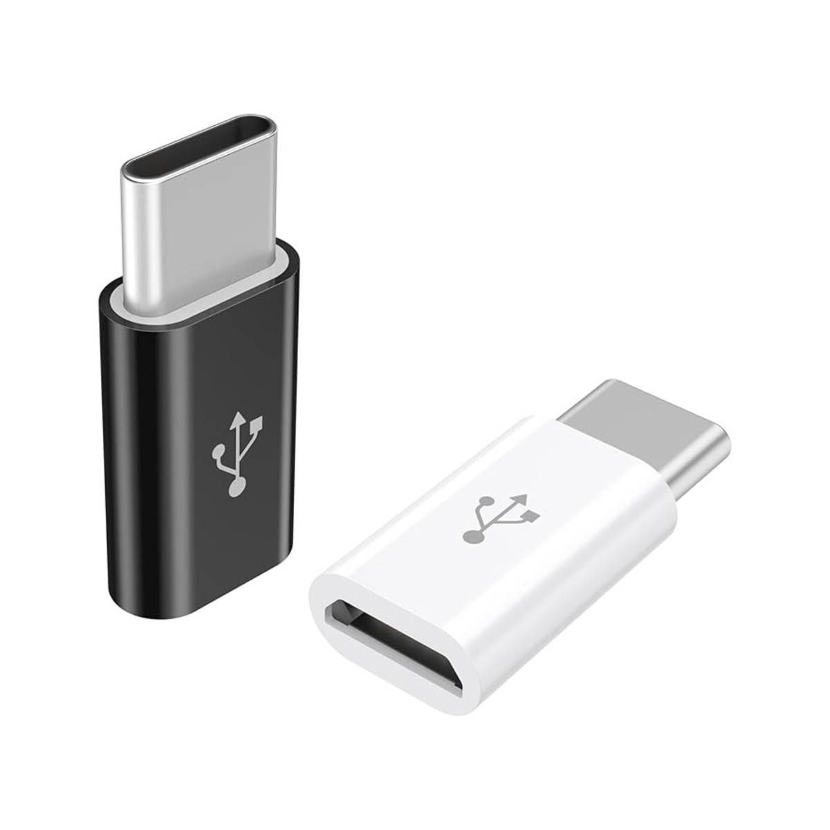 Micro USB Femelle vers USB-C Mâle