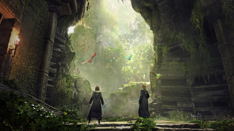 Exploration d'un jardin de Poudlard dans Hogwarts Legacy sur Nintendo Switch