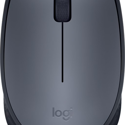 Souris sans fil Logitech M170 (Gris)