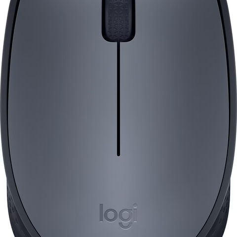 Souris sans fil Logitech M170 (Gris) — dans le même univers que Logitech C270 HD