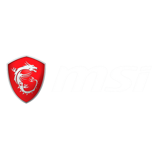 MSI