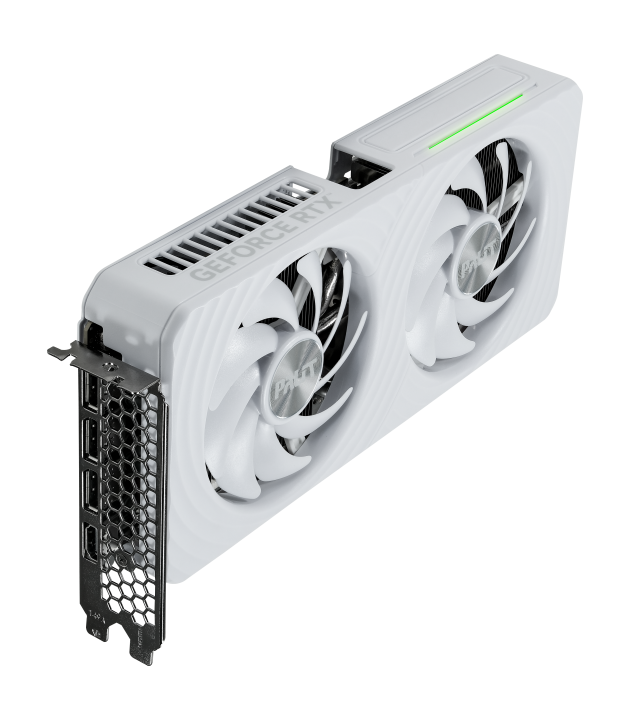 Carte graphique Palit GeForce RTX 5060 White OC 8 Go, double ventilateur blanc