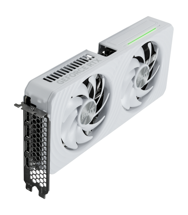Carte graphique Palit GeForce RTX 5060 White OC 8 Go, double ventilateur blanc