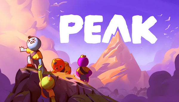 Jaquette Peak sur PC, clé à activer sur Steam