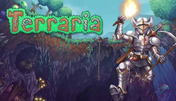 Jaquette Terraria sur PC, clé à activer sur Steam
